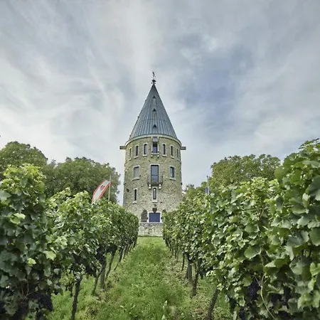 Elegante Ferienwohnung Floersheim Ihr Zuhause Auf Zeit Floersheim am Main